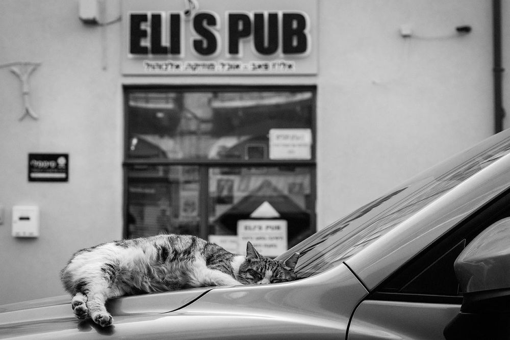 На то это и паб, чтобы расслабляться...