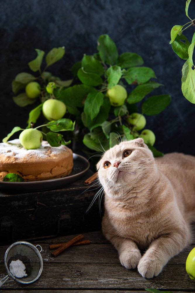 Photograph by Дина Криштопчик