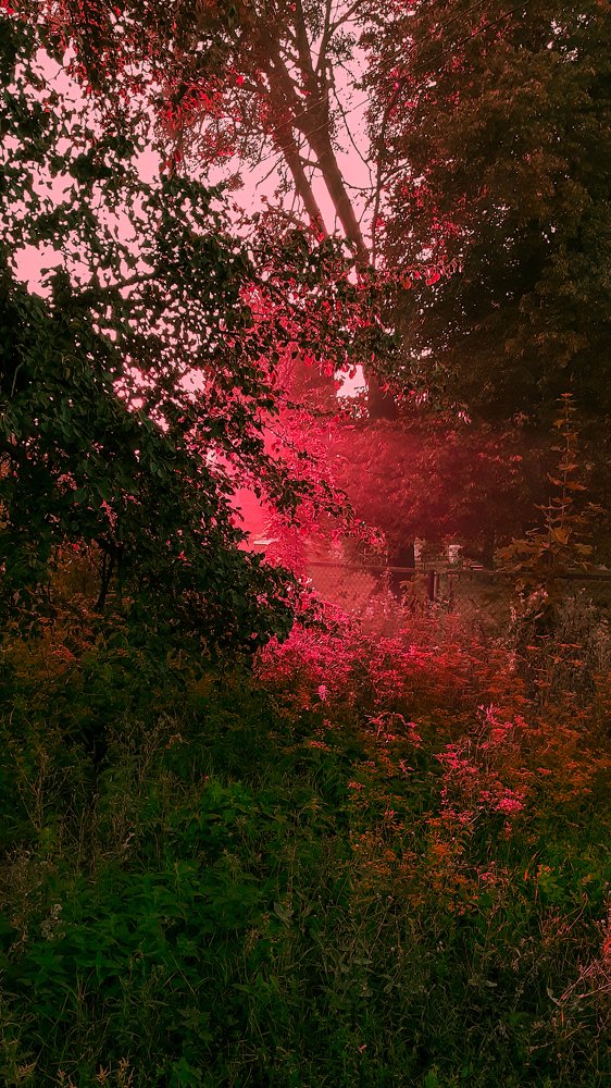 Photograph by Maks Bohachov