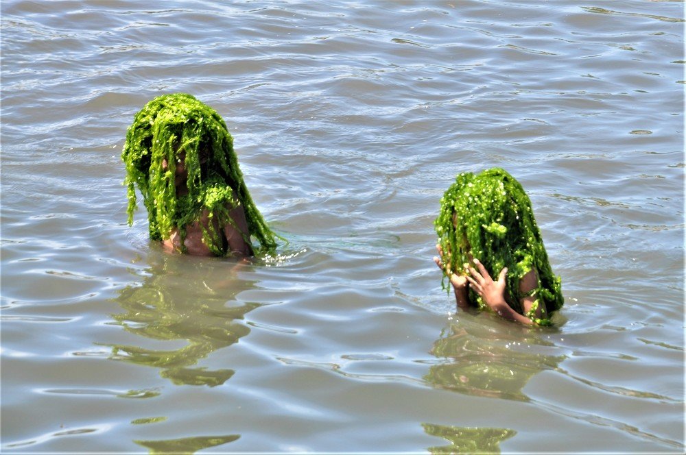 Фотография автора Teo Liam Pheng