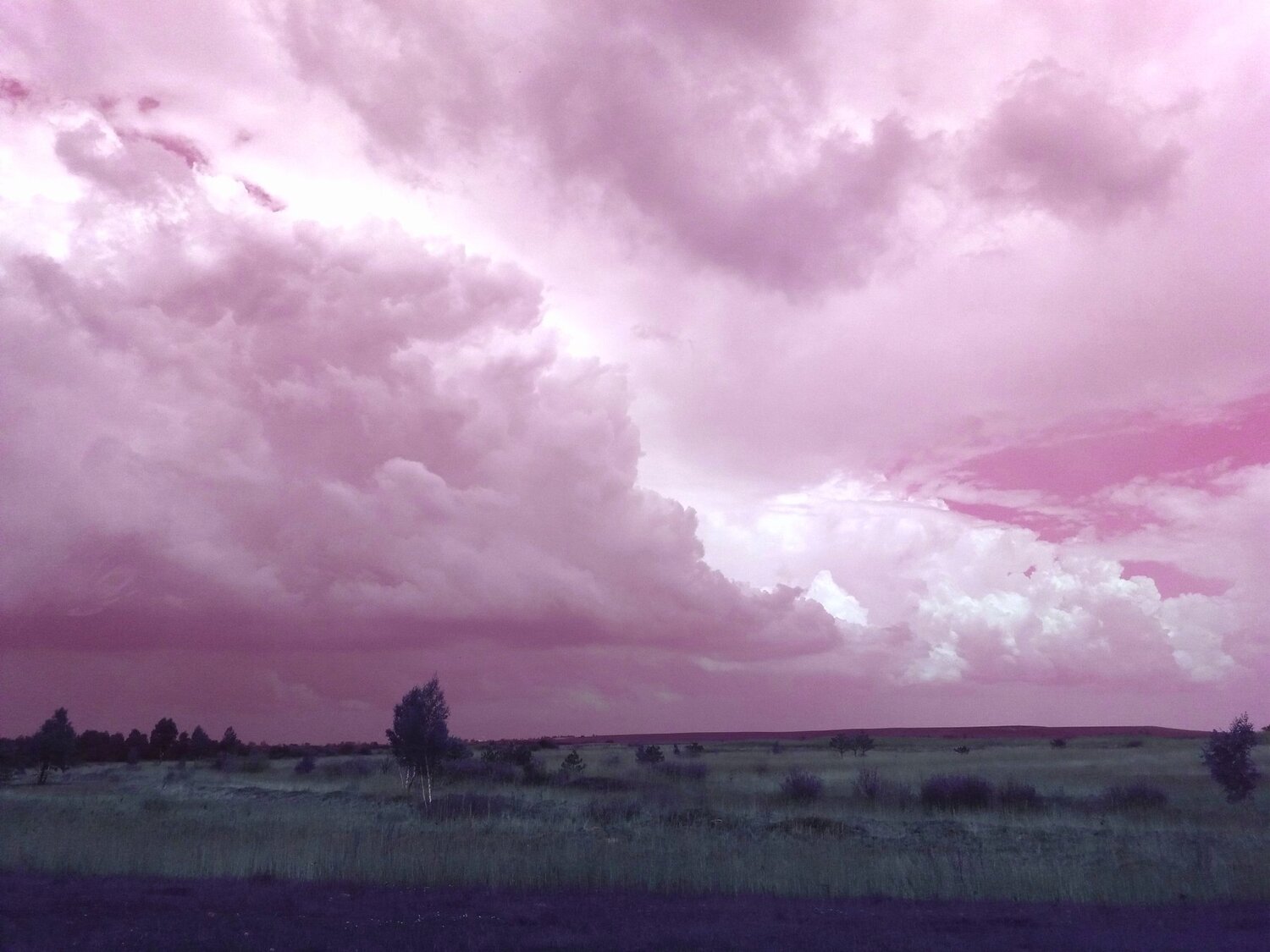 Photo #3505386