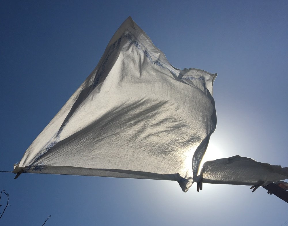 Photograph by Natalya Царева