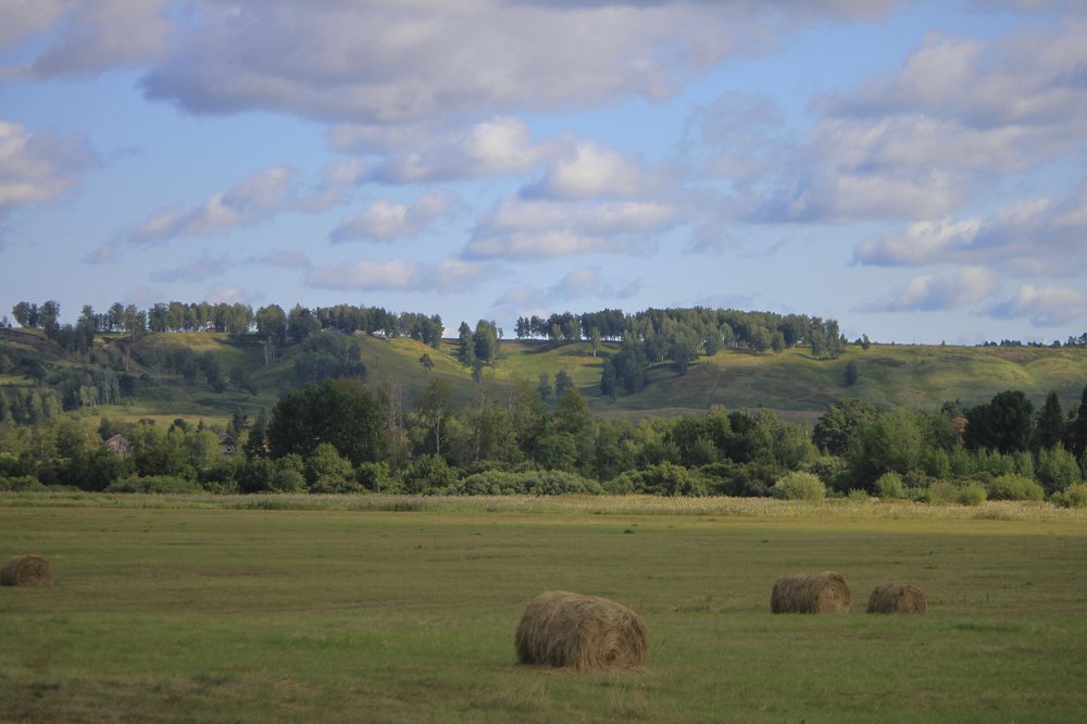 Photograph by Елена