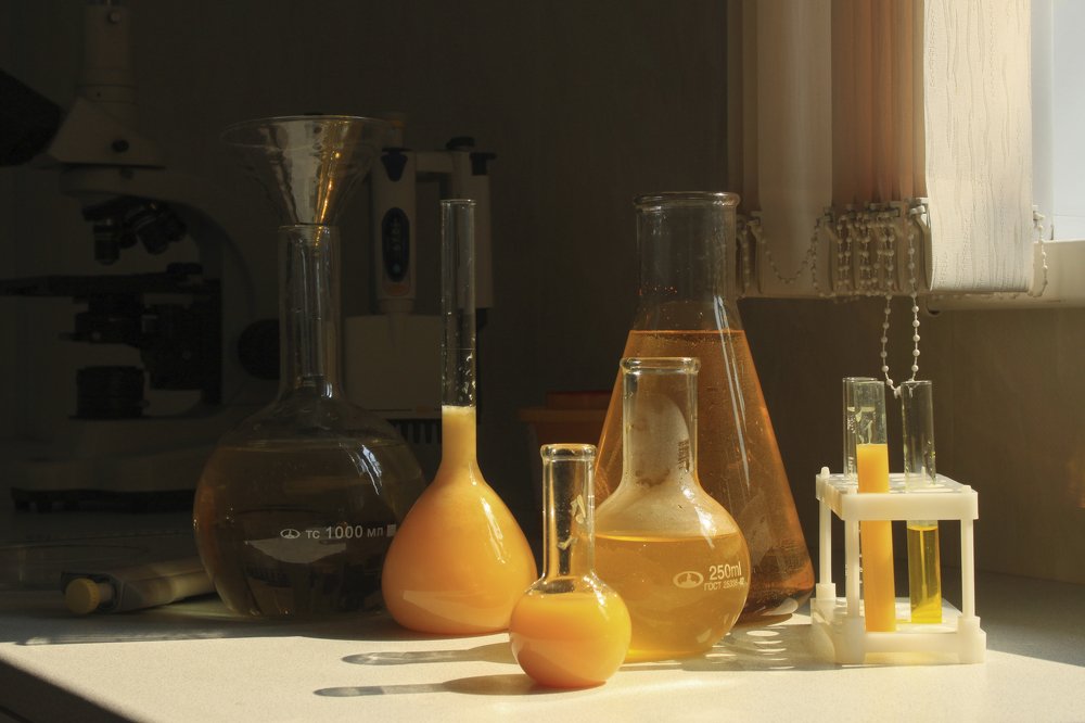 Photograph by Елена