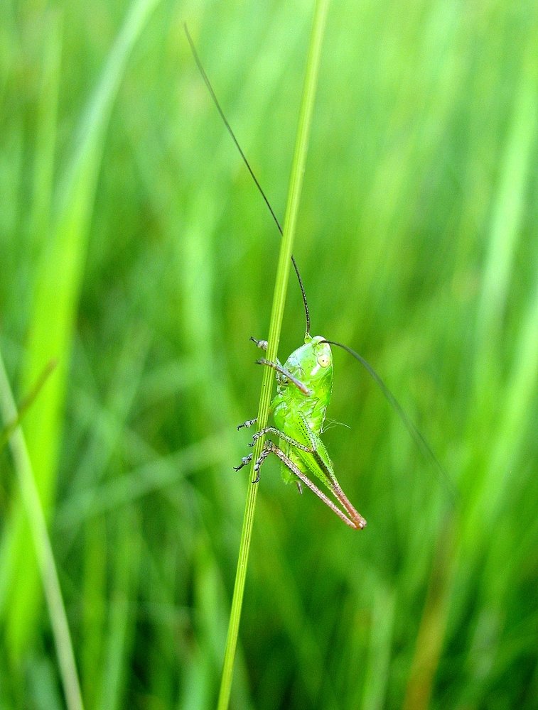 Photograph by Ірина Шандрук
