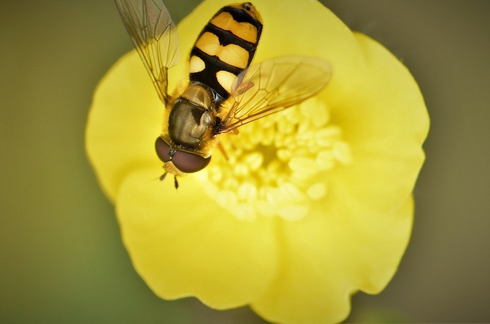 Photograph by Marija Milosavljevic