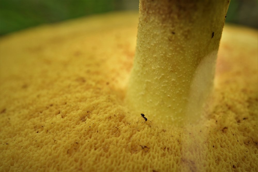 Photograph by Marija Milosavljevic