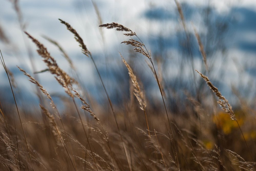 Photograph by Василиса Билуши