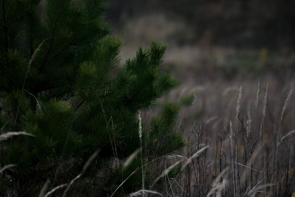 Photograph by Василиса Билуши