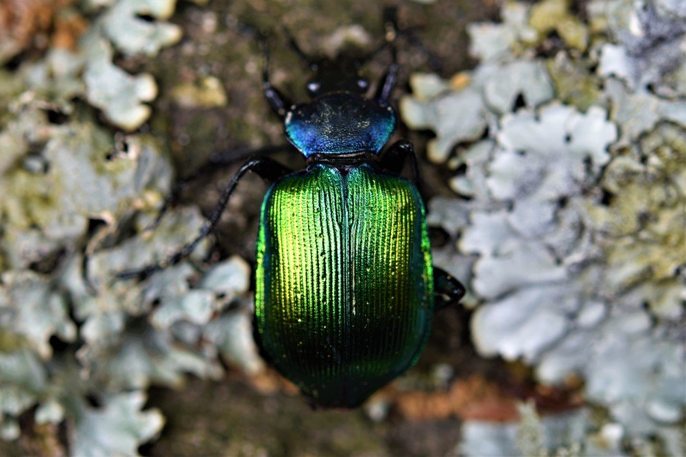 Photograph by Marija Milosavljevic