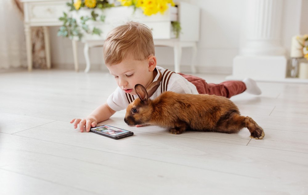 Photograph by Agne Povilaikaite