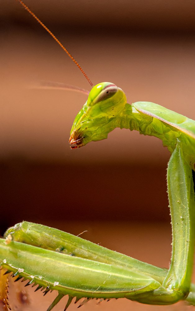 Photograph by  Mykhailo