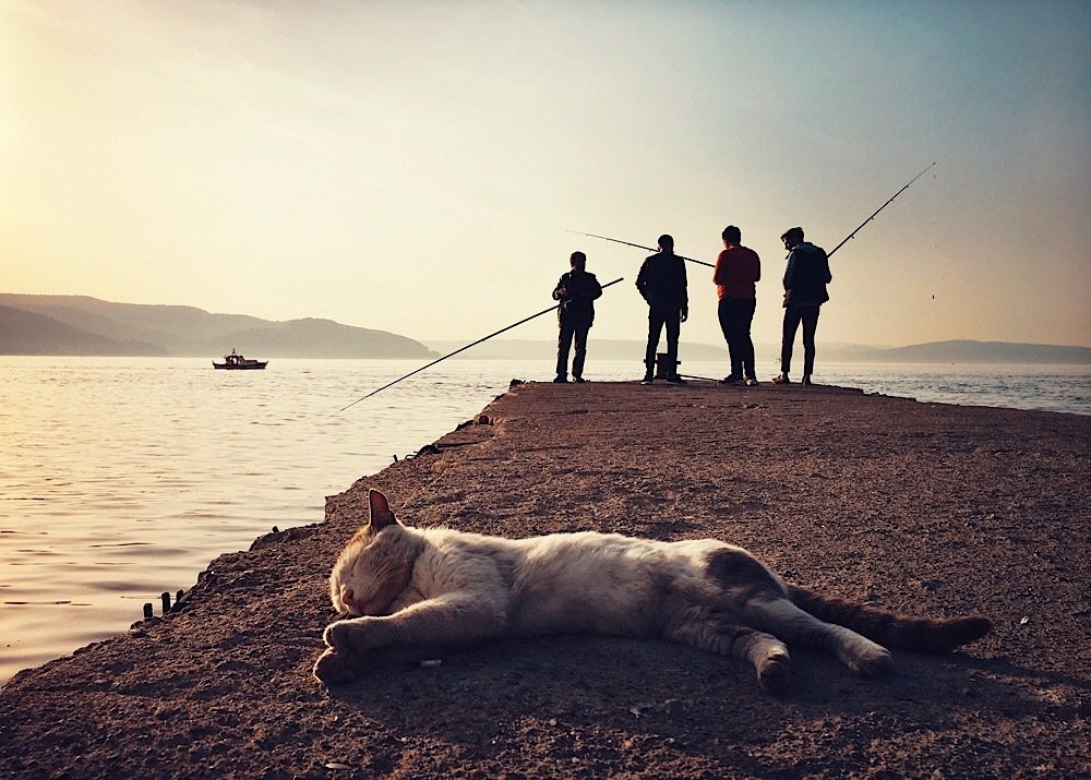 Photograph by Yalim Vural