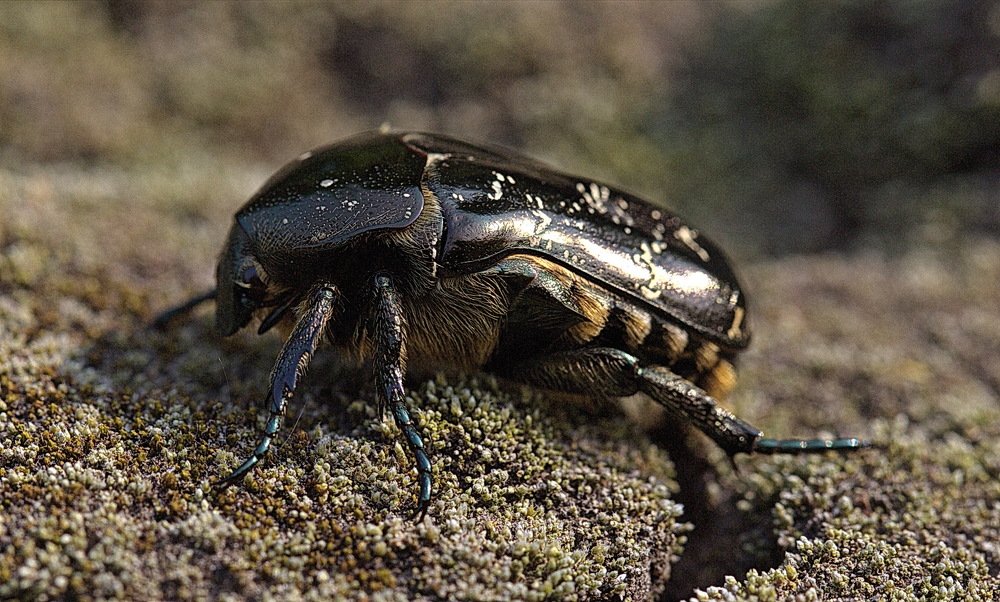 Photograph by Анатолий Васильев