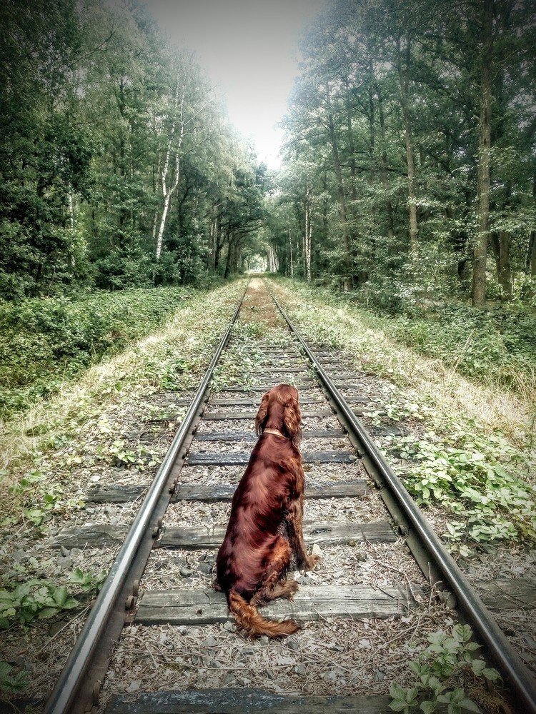 Photograph by Žanas Kalvaitis