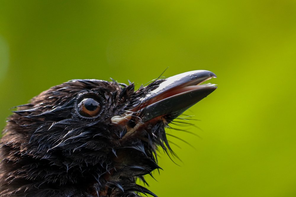 Photograph by Tamim Mohamad Genius