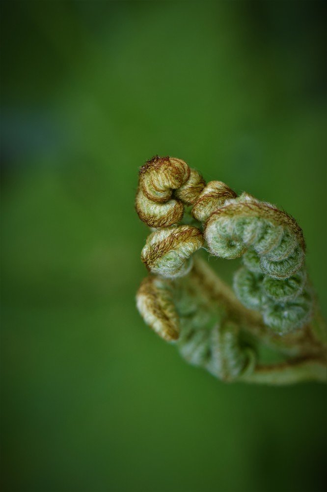 Photograph by Marija Milosavljevic