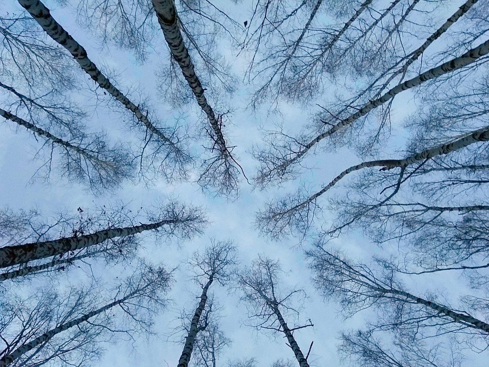 Photograph by Татьяна Котельникова