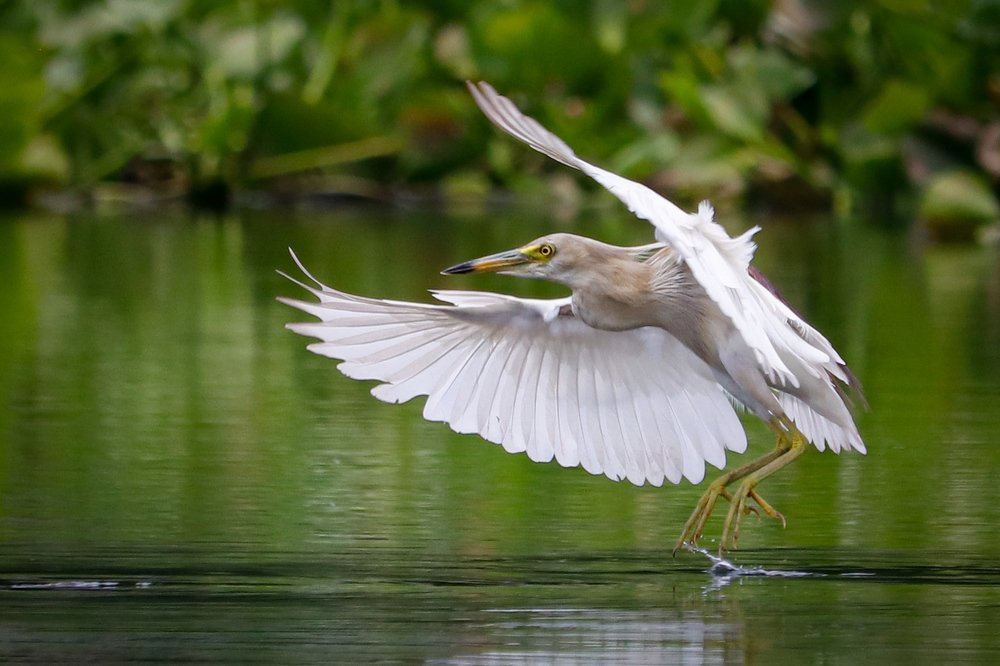 Photograph by Tamim E Mohamad Genius