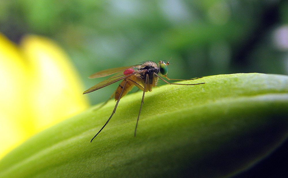 Photograph by Ірина Шандрук