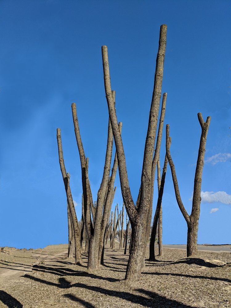 Photograph by Владимир Шнип