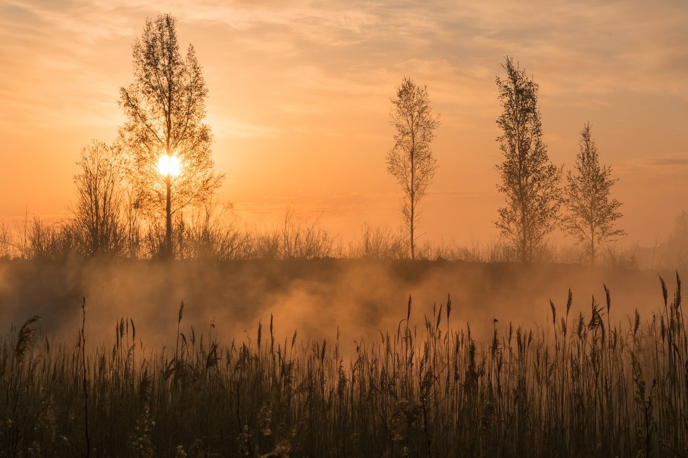 Фотография автора Мержанов Дима
