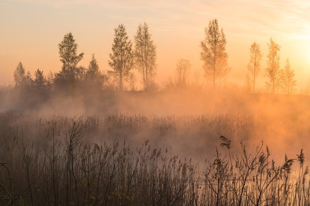 Фотография автора Мержанов Дима