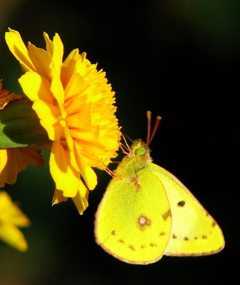 Photograph by Ірина Шандрук