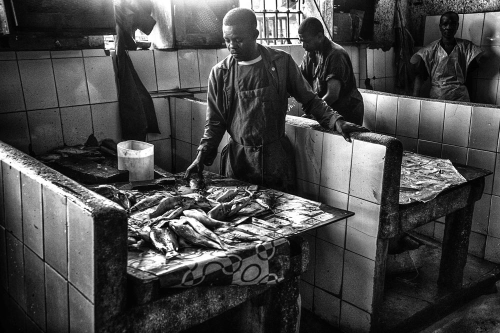 Photograph by Guy Krier