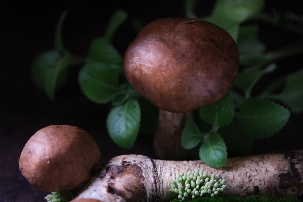 Photograph by Мария Мамонтова