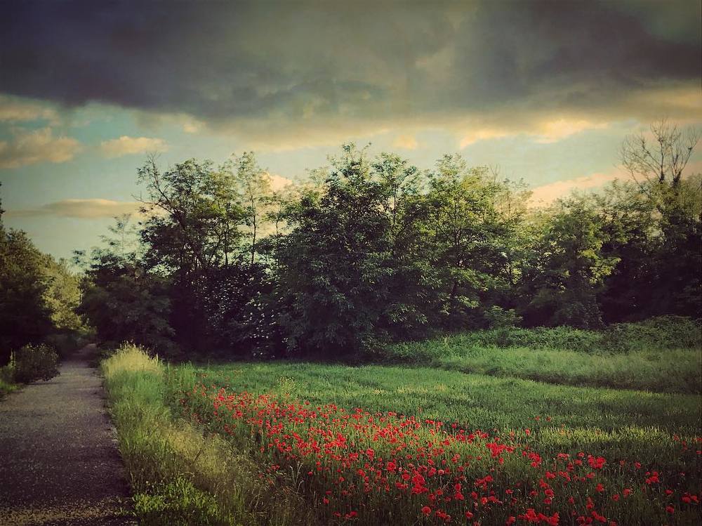 Photograph by Mariacristina Bisi