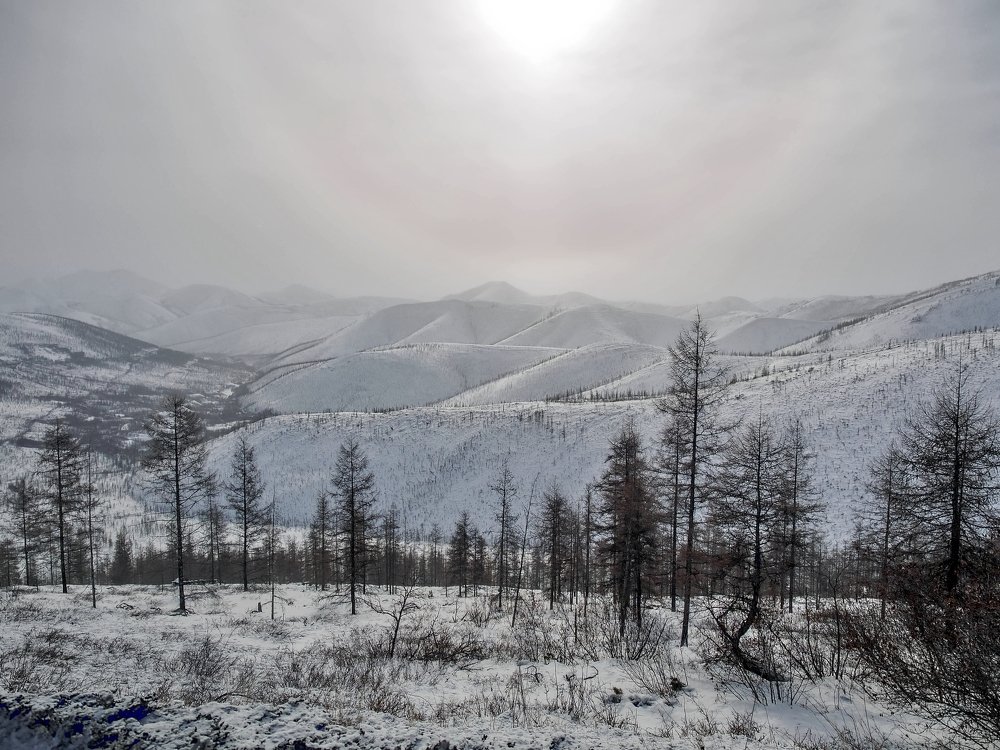 Photograph by Игорь Антипин