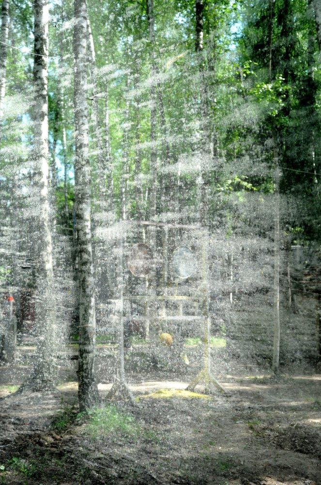 Photograph by игорь