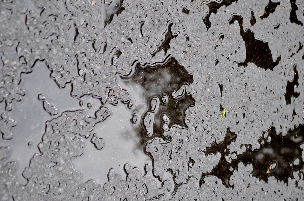 Photograph by игорь