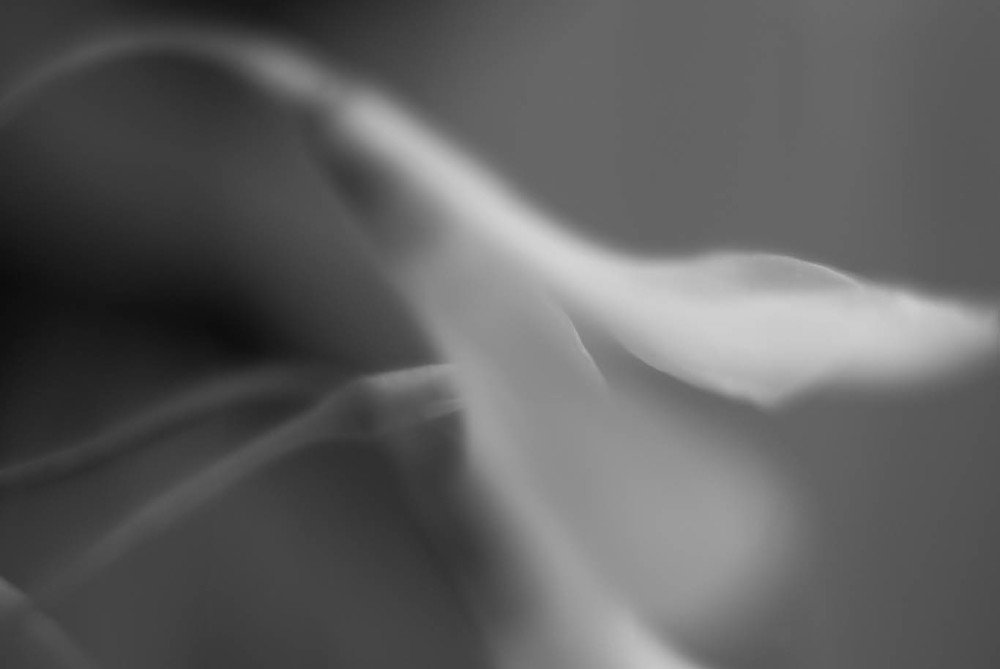 Фотография автора Александр Медведев