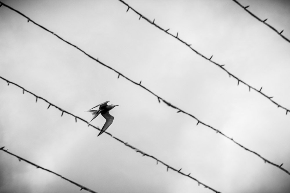 Photograph by Алексей Куликов