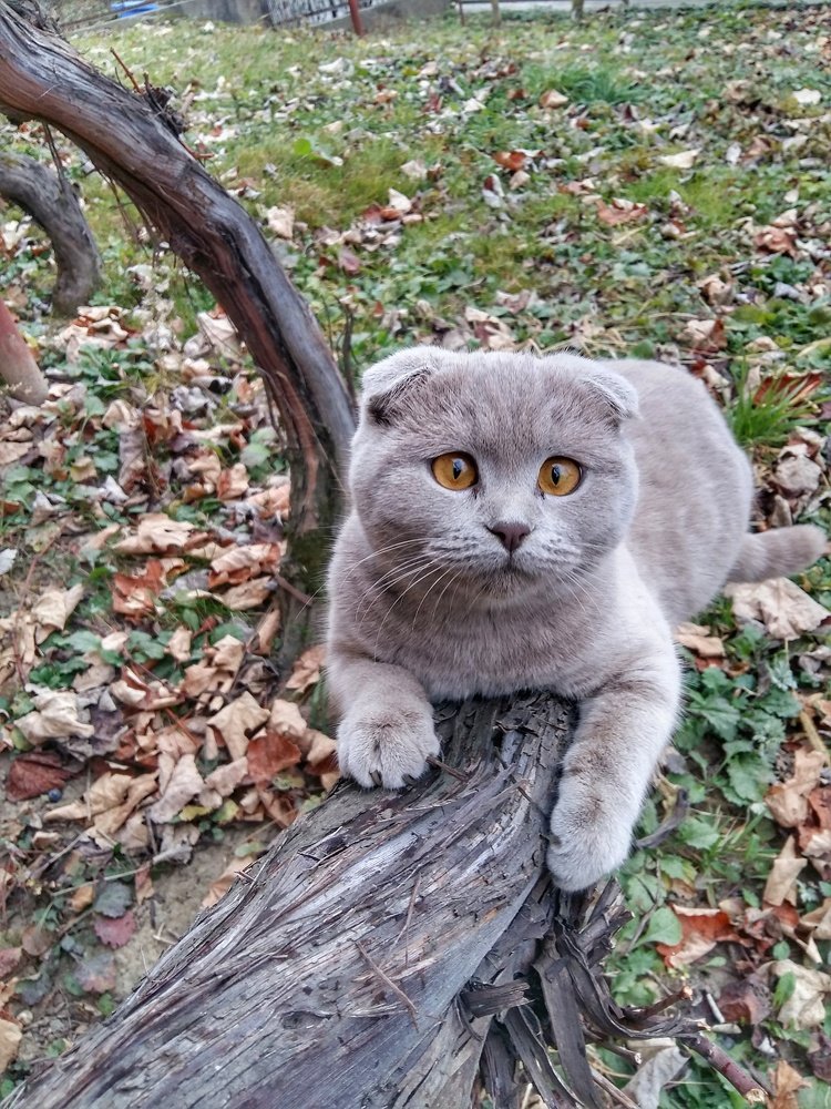 Photograph by Iгор Ситар