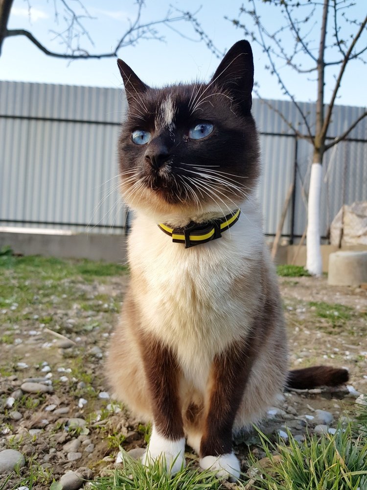 Photograph by Iгор Ситар