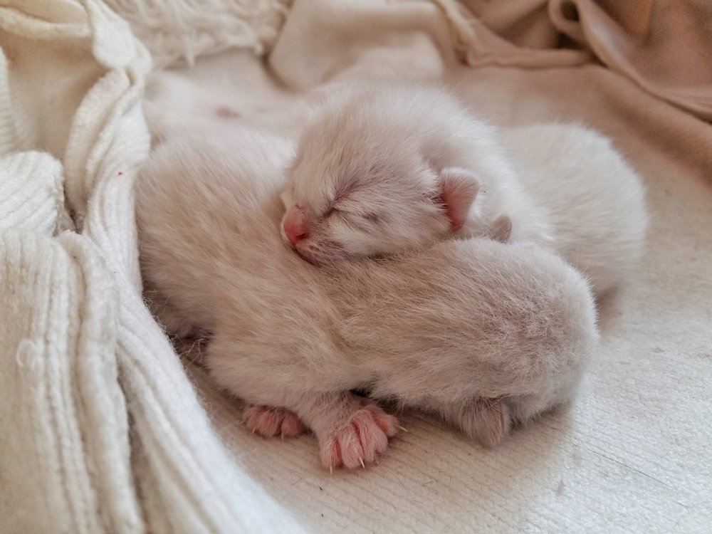 Photograph by Iгор Ситар