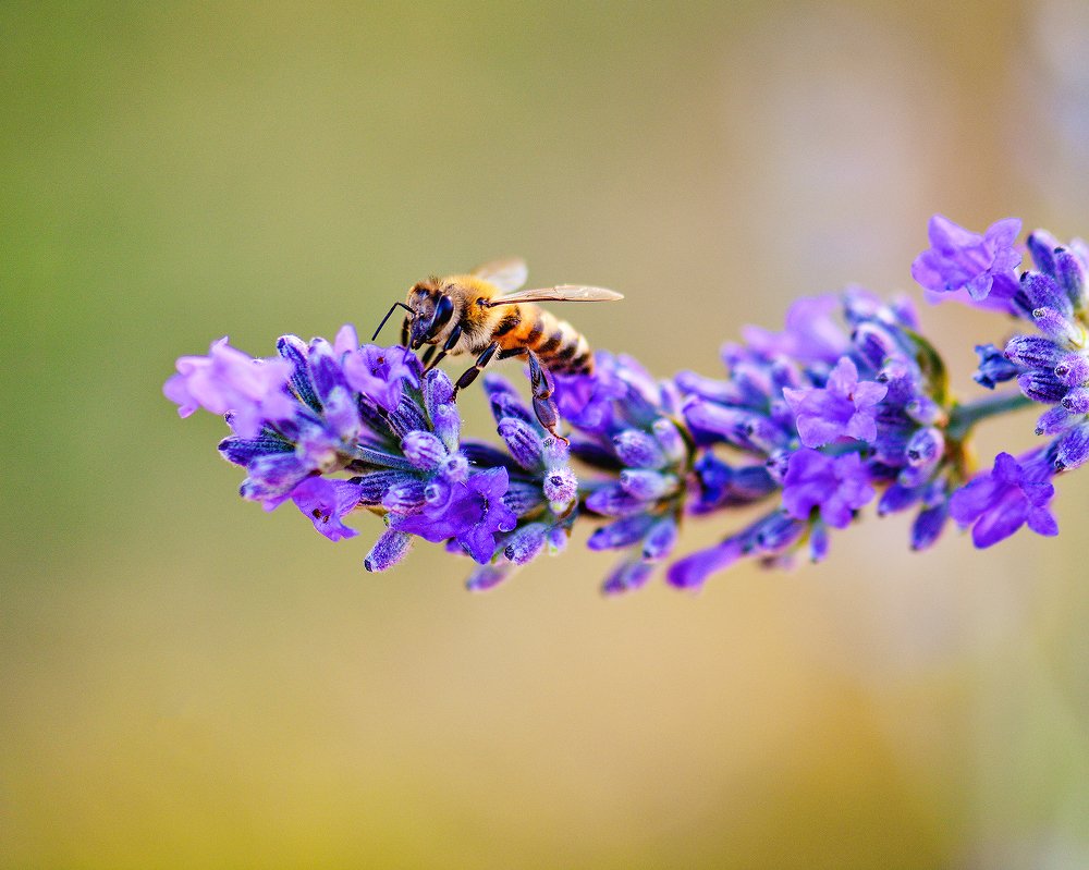 Photograph by Ольга Никулина