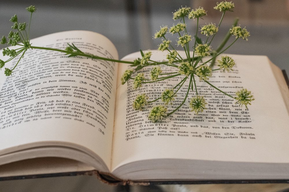 Photograph by Carmen Vich