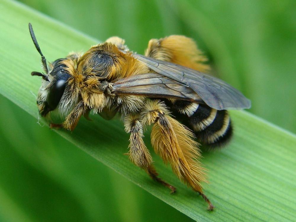 После дождя.