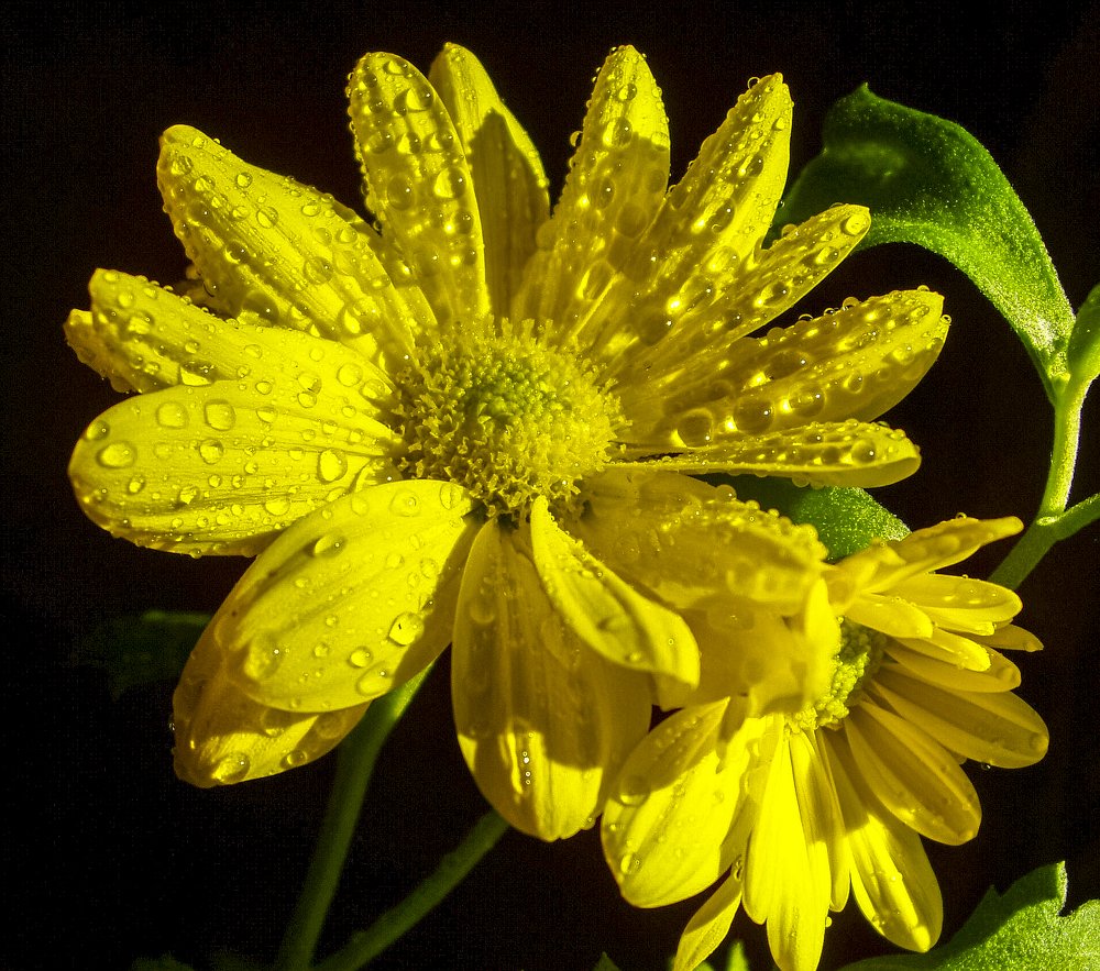 Photograph by Лариса Рулёва