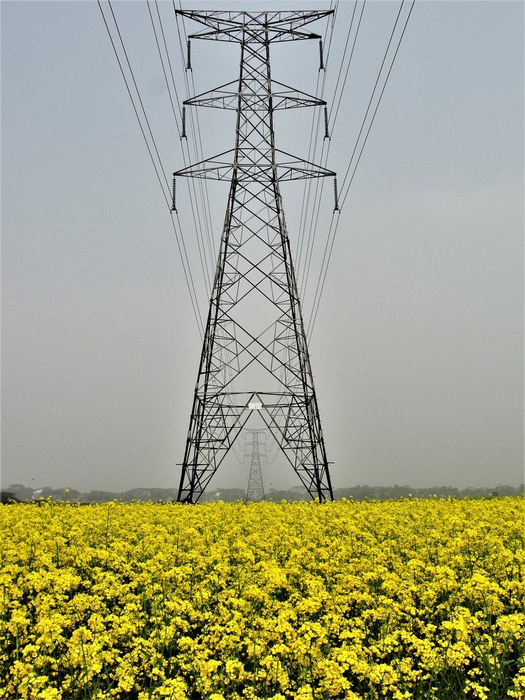 Photograph by Rezwan Nobel