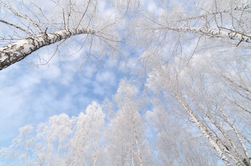 Photograph by Сергей Коваленко