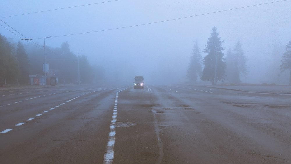 Photograph by Елизавета Чечевица