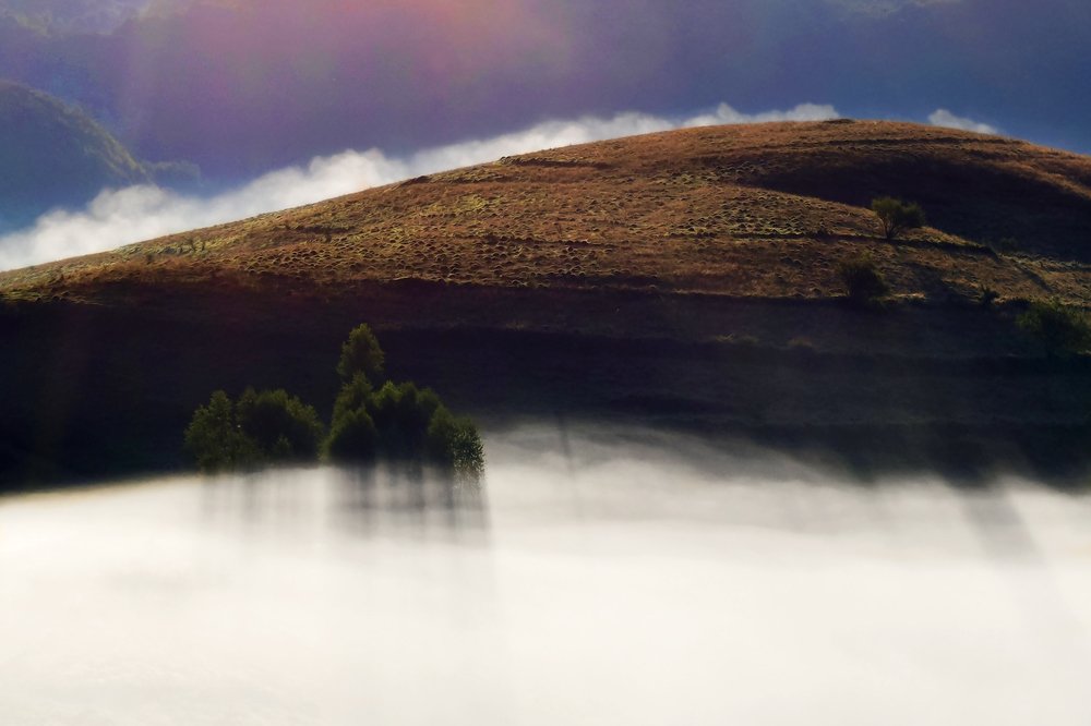 Фотография автора Gina Bochis