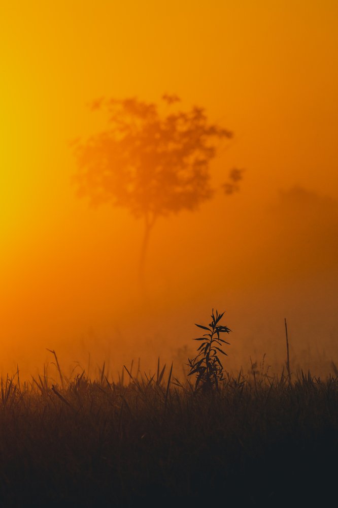 Photograph by Алексей Кашин