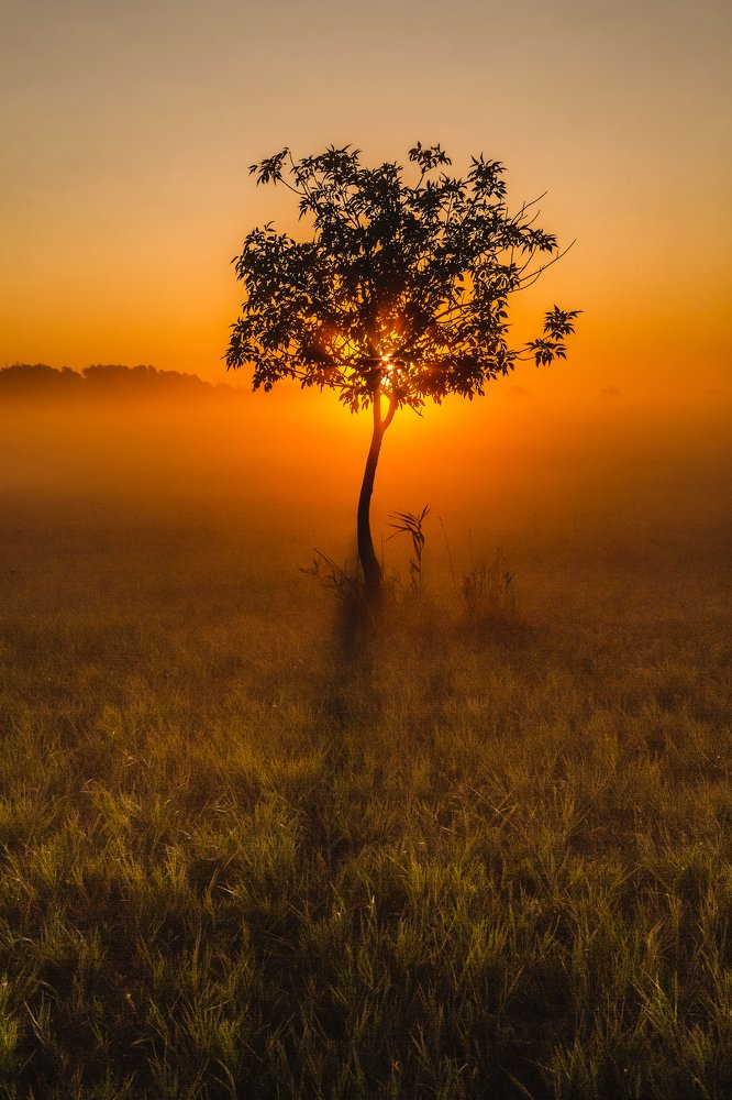 Photograph by Алексей Кашин