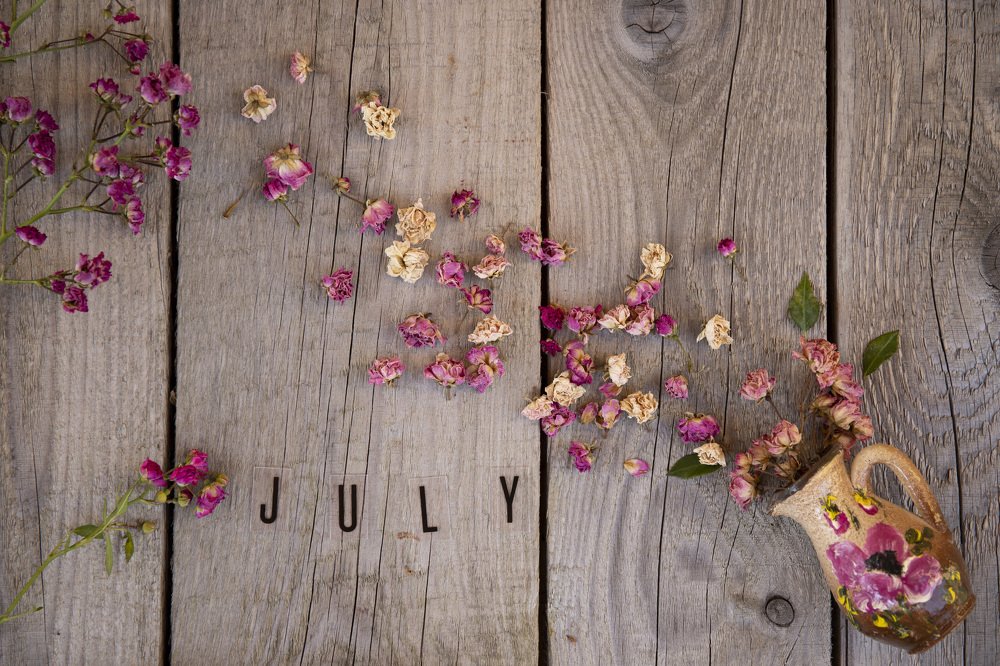 Photograph by Baciu Liliana